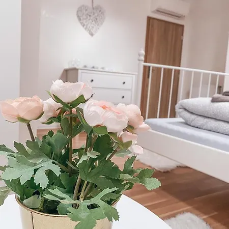 Guest house Dolce